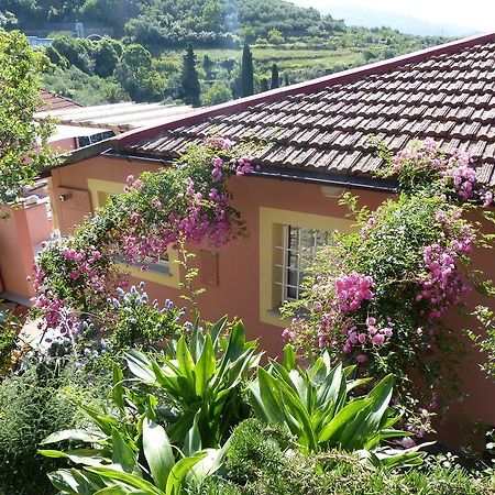 Belvedere Lodge Chiavari Εξωτερικό φωτογραφία